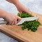 Image result for Chef Style Knives