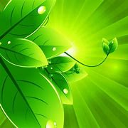 Image result for Eco-Friendly Background Clip Art