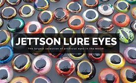 Image result for Fishing Lure Eyes