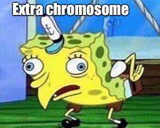 Image result for Chromosome Même