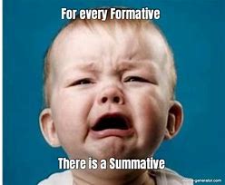 Image result for Formative Assessment Examples Meme