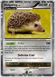 Image result for Hedgehog Pokemon Card