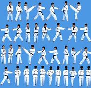 Image result for Best Martial Art Form