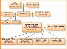 Image result for Family Tree of Pius V
