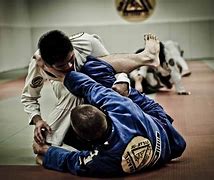 Image result for most deadly martial arts styles