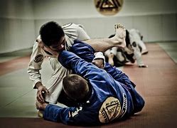 Image result for MMA vs Brazilian Jiu Jitsu