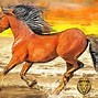 Image result for English Horse Art Framed