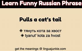 Image result for Funny Russian Quotes