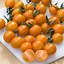 Image result for Orange Apple Tomato