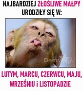 Image result for co_to_za_ziarnica_złośliwa