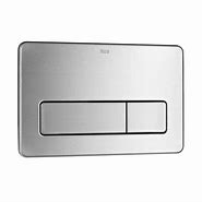 Image result for Roca Flush Plate