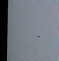 Image result for Dead Pixel On Screen