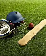 Image result for Cricket Bat HD Images