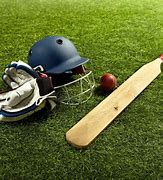 Image result for Copyright Free Cricket