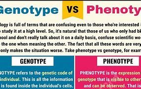 Image result for Genotype vs Phenotype Examples
