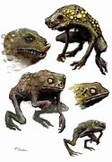 Image result for Scary Frog Eyes