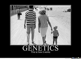 Image result for Genetics Meme