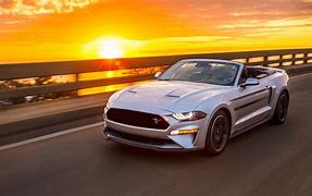Image result for Ford 2019