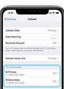 Image result for iPhone Roaming Data On Off Dual Sim