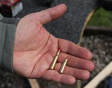 Image result for 17 HMR Wound