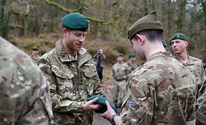 Image result for Was Prince Harry a Royal Marine