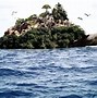 Image result for Turtal with Island On Top