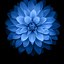 Image result for Blue iPhone 6 Wallpaper