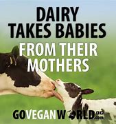 Image result for Animal Differences Vegan