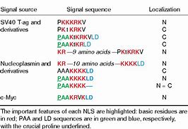 Image result for Names of Localization Signals