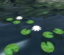 Image result for Lotus Flower Eso