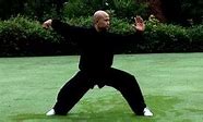 Image result for Rare Kung Fu Styles