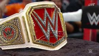 Image result for WWE Championship Belts