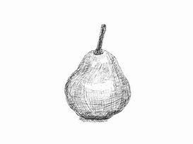 Image result for Cross-Hatching Drawing Technique