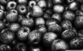 Image result for Arkansas Black Apple