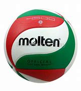 Image result for Molten Volleyball Logos