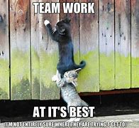 Image result for Great Job Team Work Meme