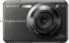 Image result for Sony DSW