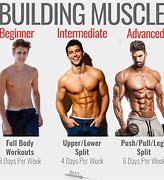 Image result for Full Body Workout Build Muscle