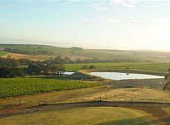 Image result for West Cape Howe Grenache