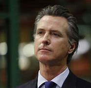 Image result for Hunter Newsom Gavin Newsom