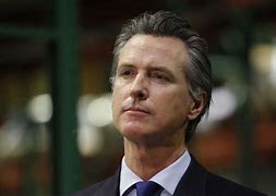 Image result for Gavin Newsom Net Worth