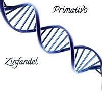 Image result for DNA Zinfandel Filaree