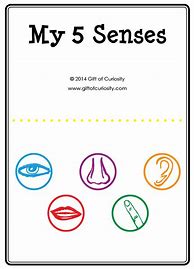 Image result for My Five Senses Printable Booklets