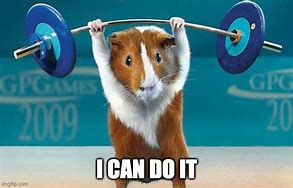 Image result for Can Do It Meme