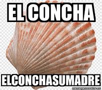 Image result for Concha Memes