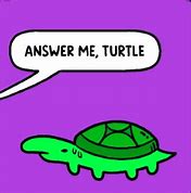 Image result for Answer Me Turtle Meme