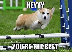 Image result for You the Best Funny Meme