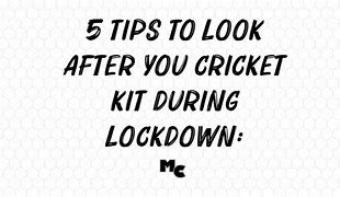 Image result for Cricket Kit HF and Monster