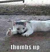 Image result for E Dying Thumbs Up Meme
