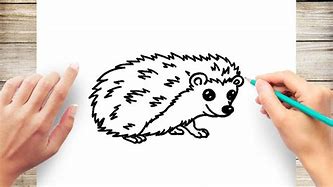 Image result for Porcupine Draw